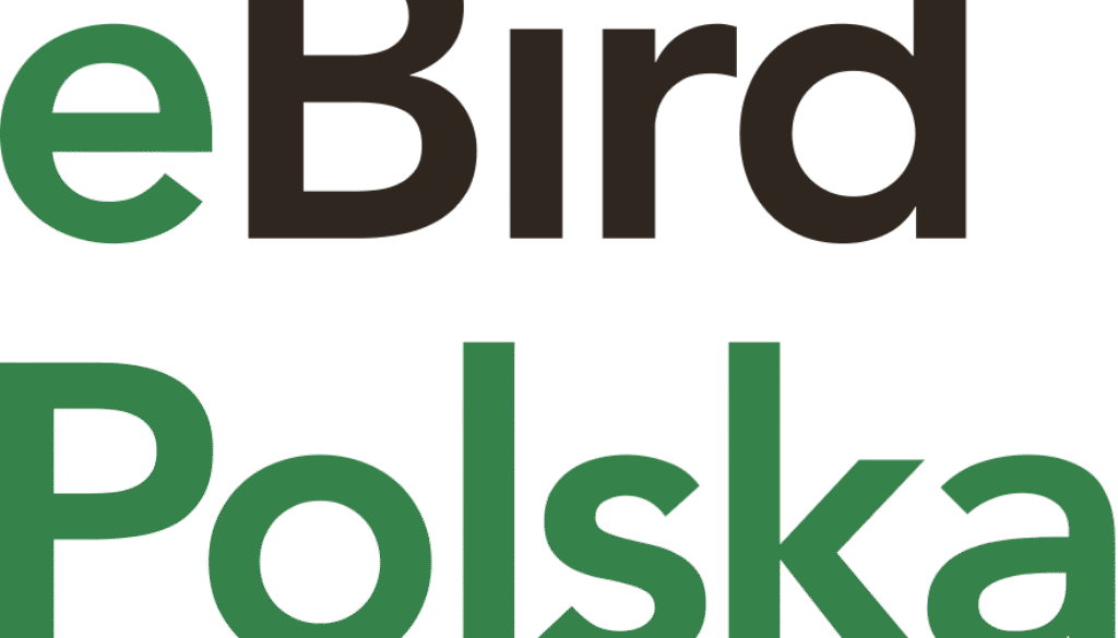 ebird poland vertical