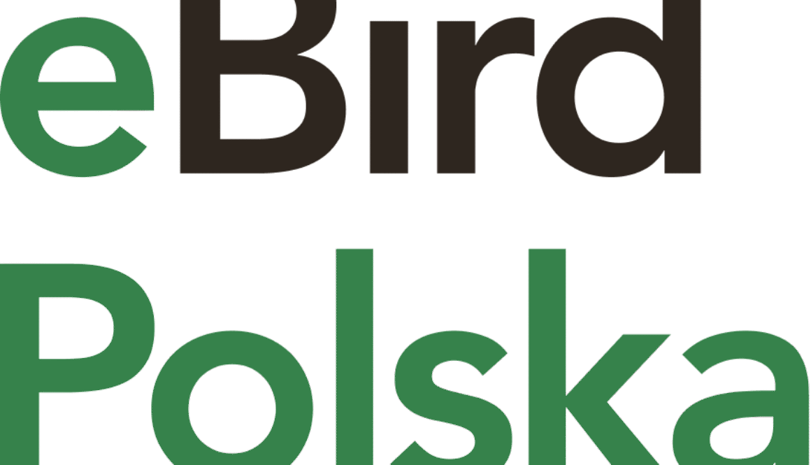 ebird poland vertical