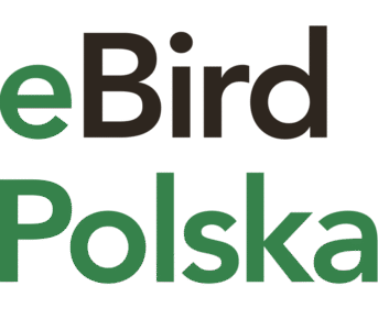 ebird poland vertical