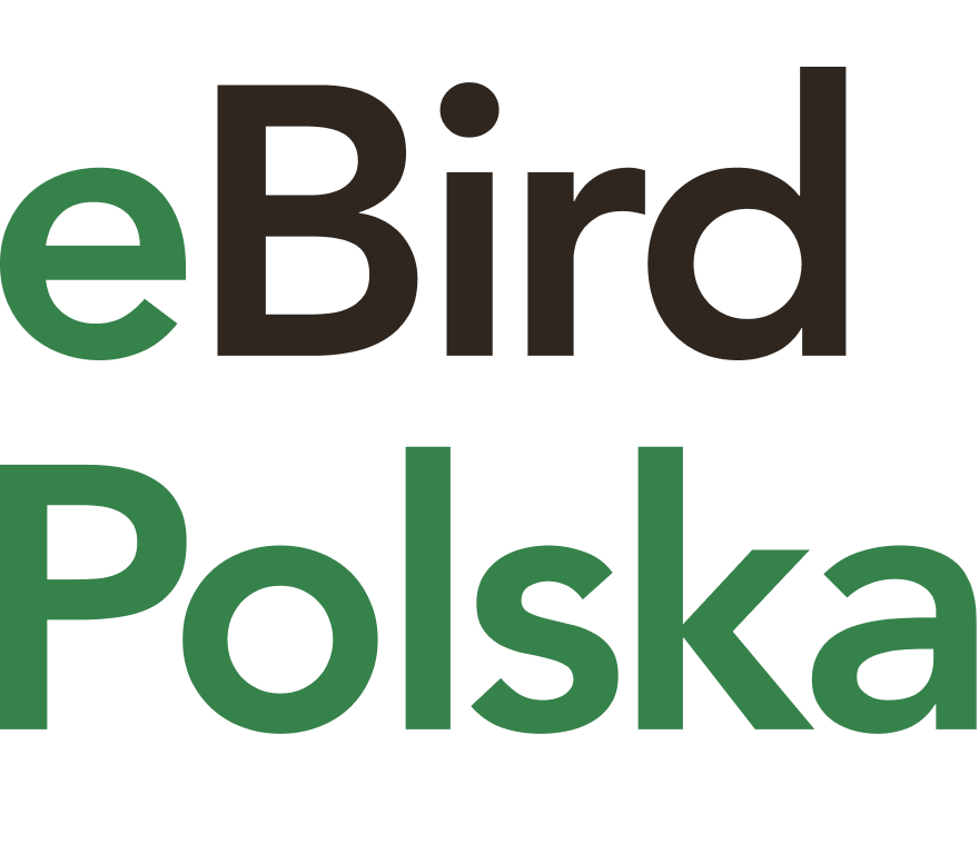 ebird poland vertical